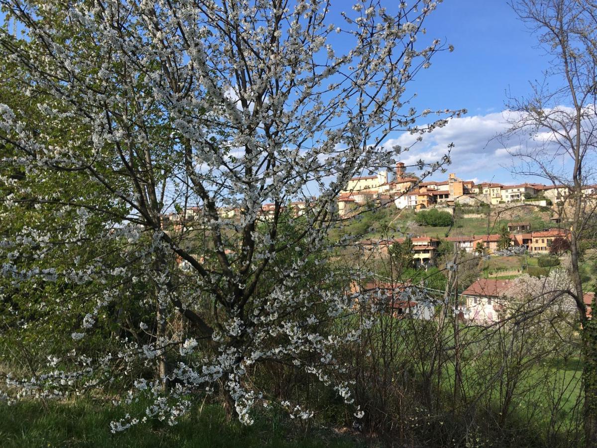 Villa Bacchus Cortanze Dış mekan fotoğraf