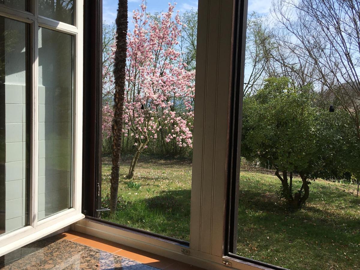 Villa Bacchus Cortanze Dış mekan fotoğraf